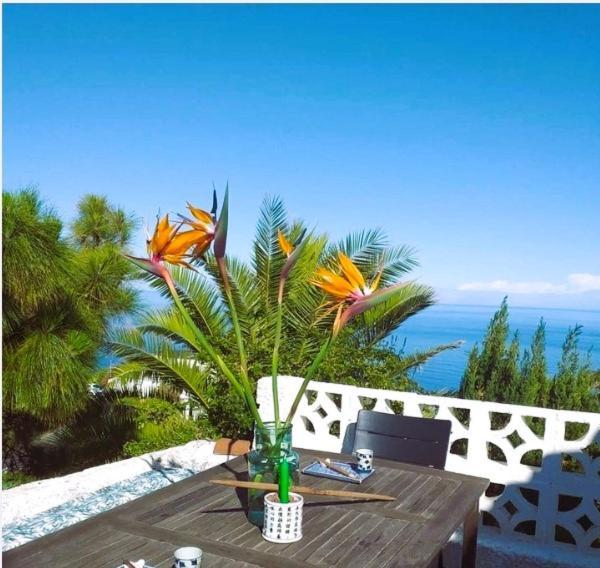 Zenrepublic, Your Private Villa With Outdoor Jacuzzi & Pool With Stunning Ocean Views Puntillo Del Sol Esterno foto